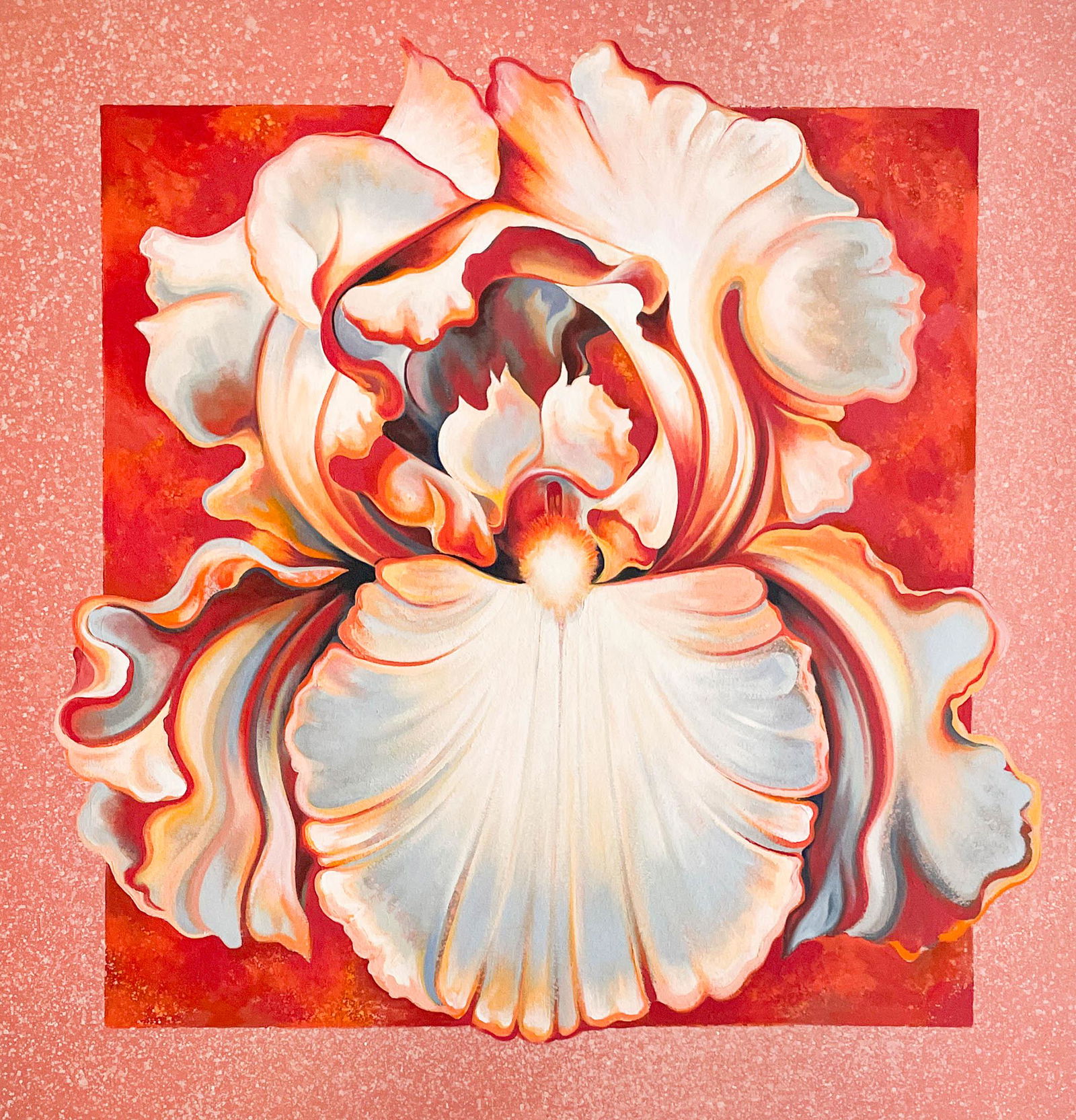 Lowell Nesbitt - Apricot Iris (1 of 5)