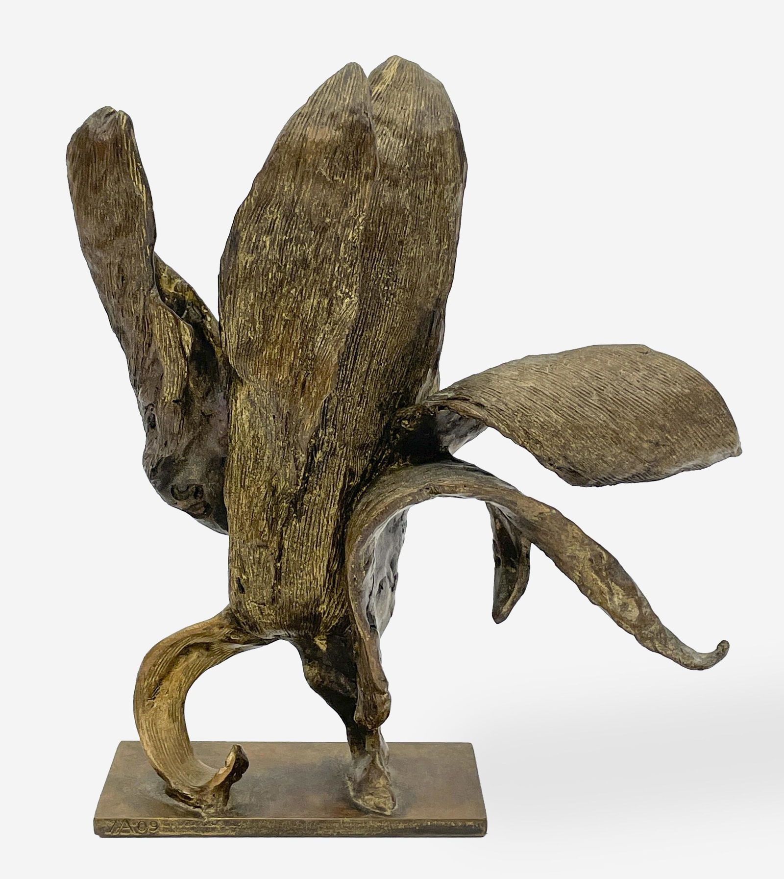 Seena Donneson - Untitled (Corn Husk) (1 of 3)