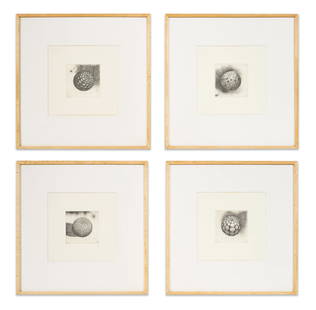 Peter Schuyff - Untitled (Four Plates): Lot 95 Peter Schuyff Dutch (b. 1958) Untitled (Four Plates) four etchings, on wove paper with margins each pencil signed, AP plate (each): 4 x 4 inches Provenance: From a Private Collection Purchased