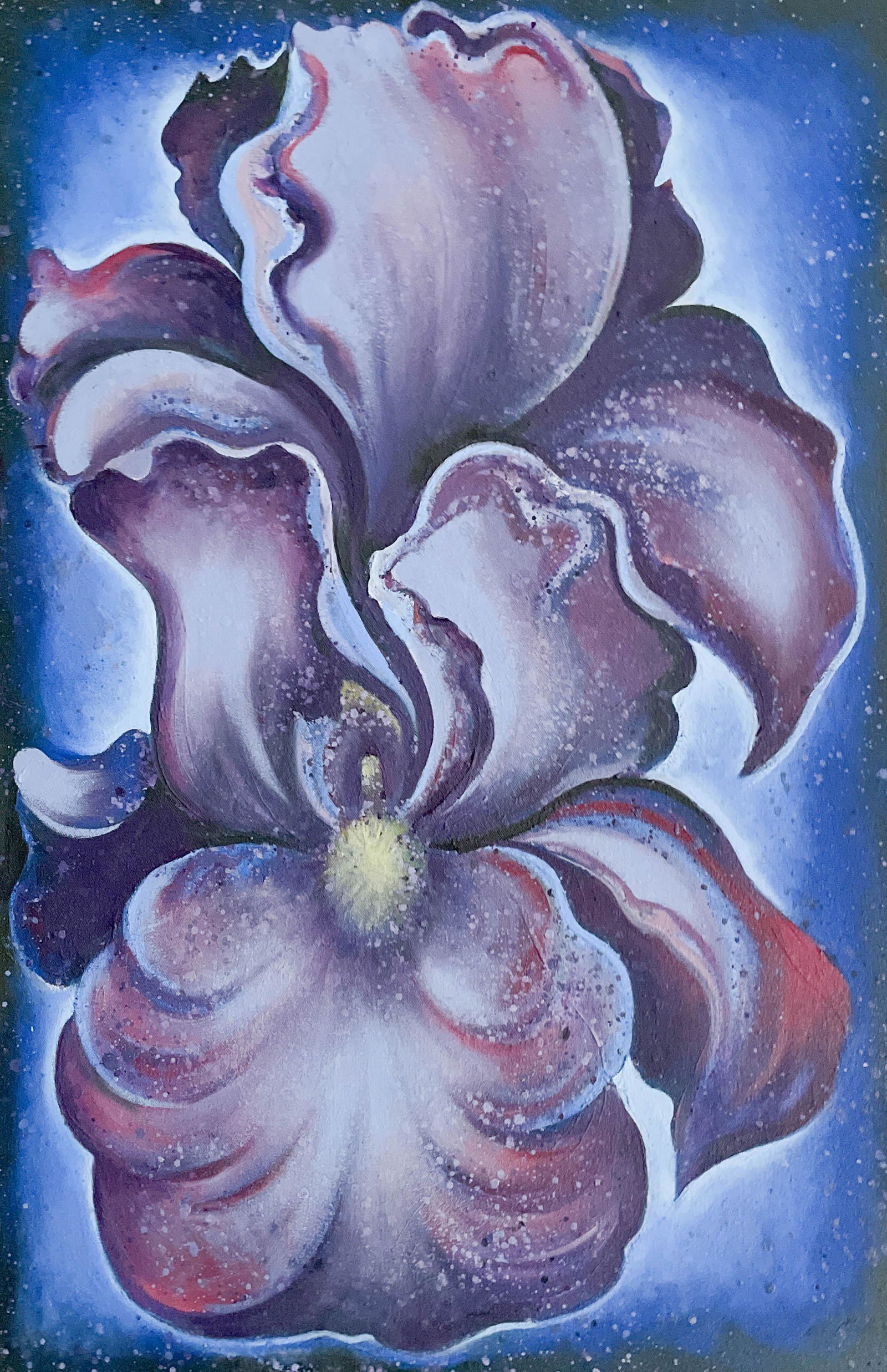 Lowell Nesbitt - Nocturnal Iris (1 of 3)