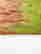 item-114886626=3