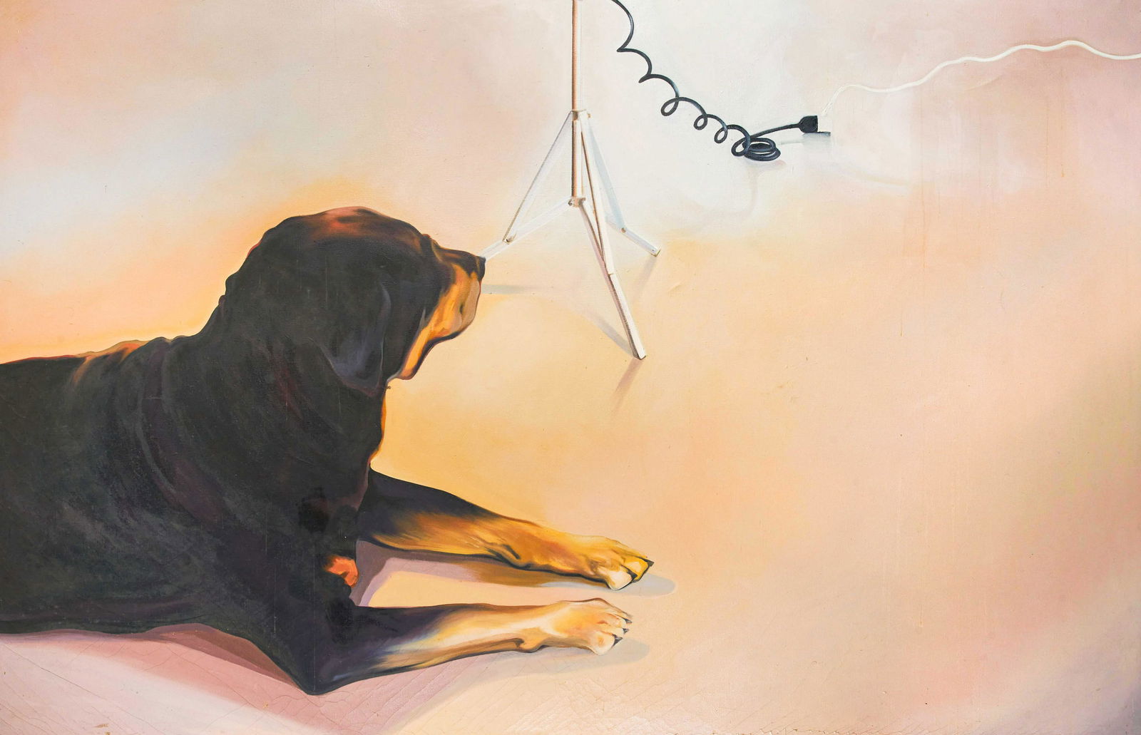 Lowell Nesbitt - Echo III (Rottweiler) (1 of 8)