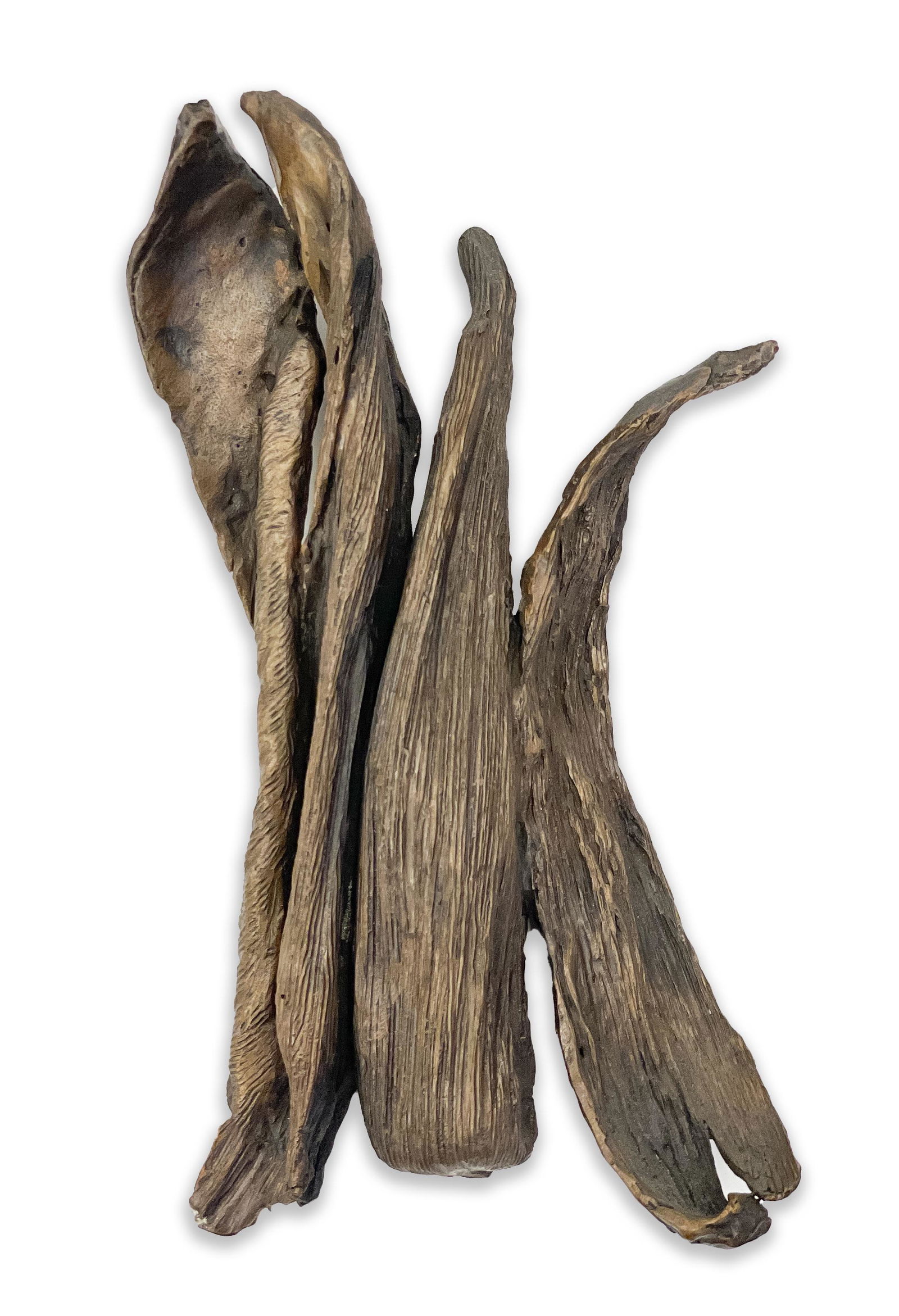 Seena Donneson - Corn Husk Wall Mounted Sculpture II (1 of 5)