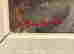 item-121108390=3