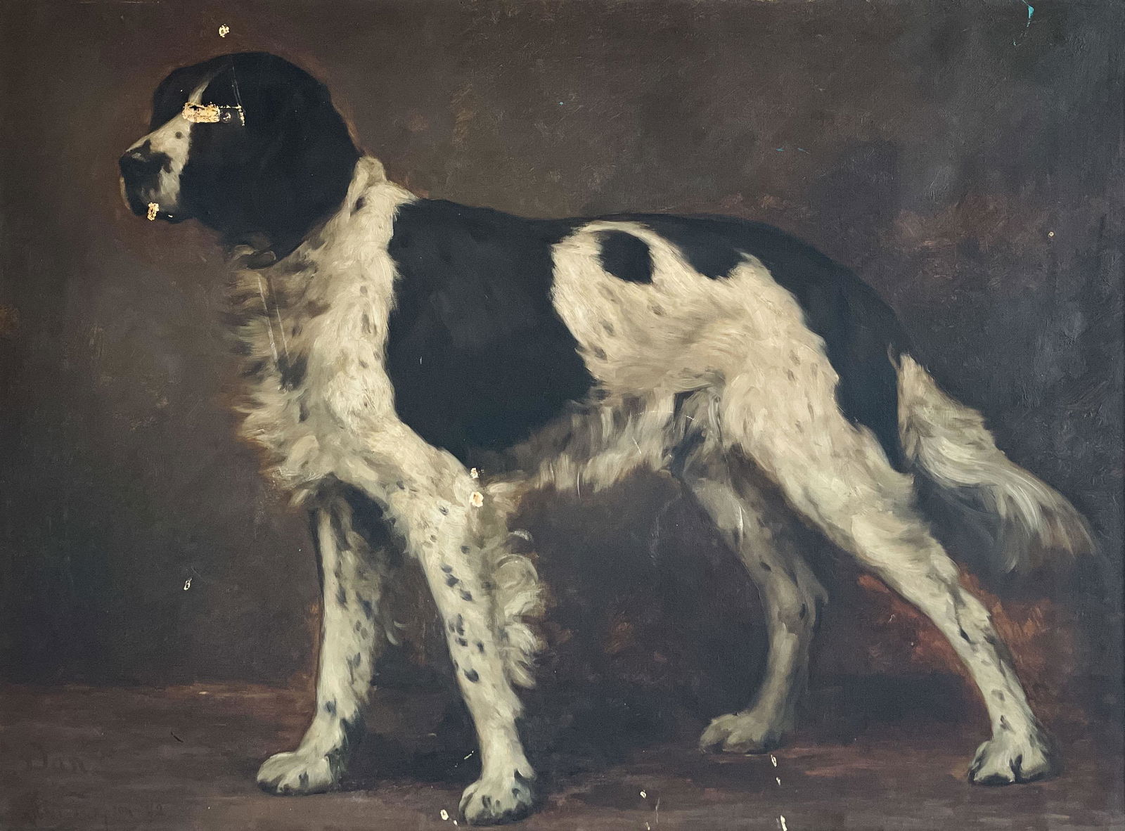 Albert Thompson - Portrait of Dan the Hound (1 of 7)