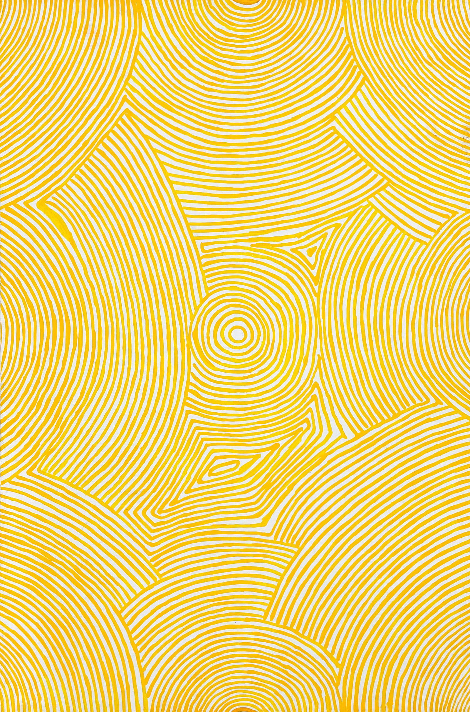 Janie Petyarre - Untitled (Yellow): Lot 117 Janie Petyarre Australian (b. circa 1967) Untitled (Yellow) acrylic on linen verso inscribed 30 x 20 x 1 inches unframed Provenance: Property from the Collection of Seymour Stein Delmore Gal