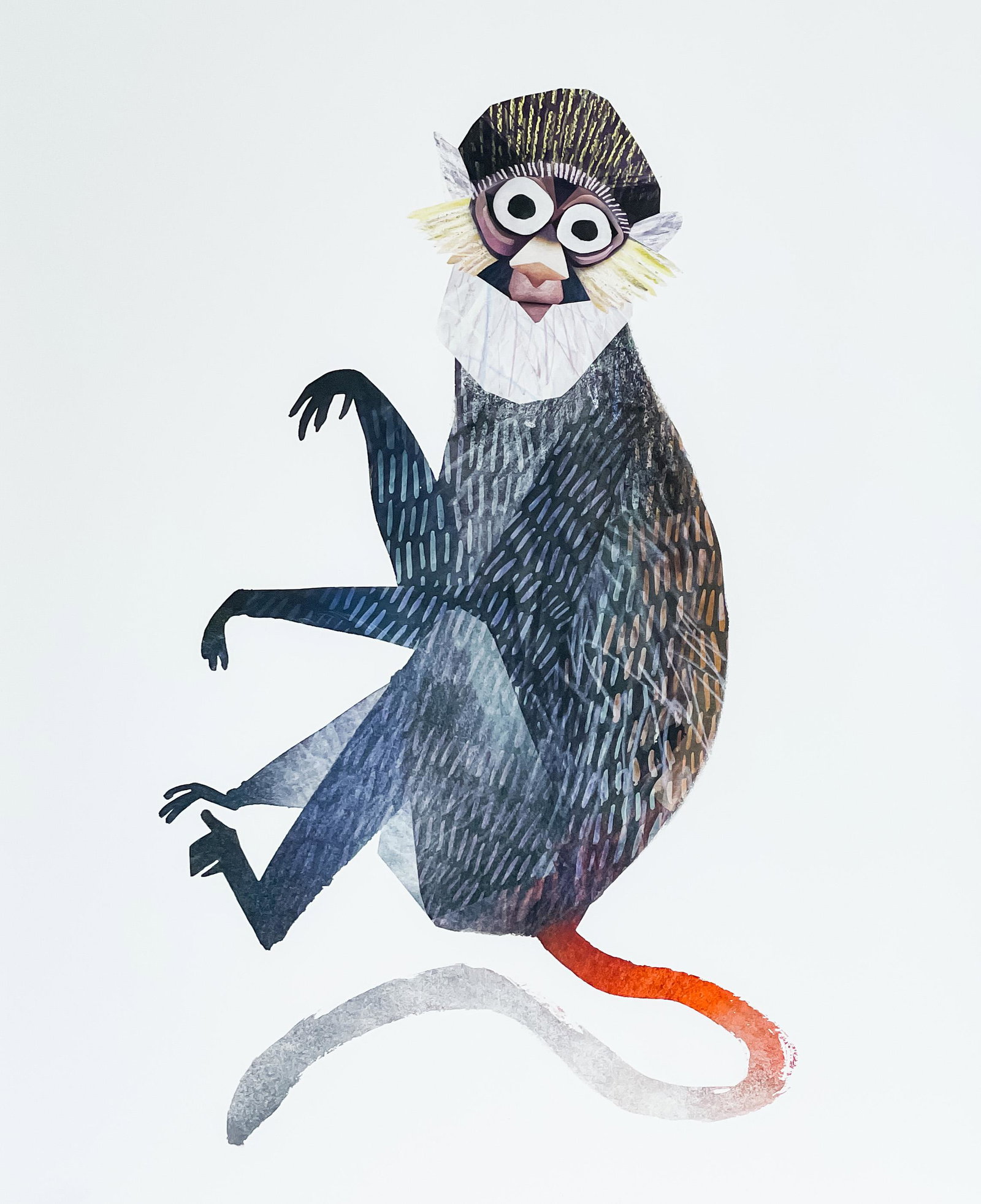 Brendan Wenzel - Sclater's Guenon: Lot 172 Brendan Wenzel American (XX-XXI) Sclater's Guenon giclée print edition 1/50 sight: 23 3/4 x 20 inches frame dimensions: 29 1/2 x 25 1/2 x 1 inches, wood frame with acrylic glazing