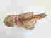item-131691091=6