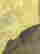 item-131691134=5