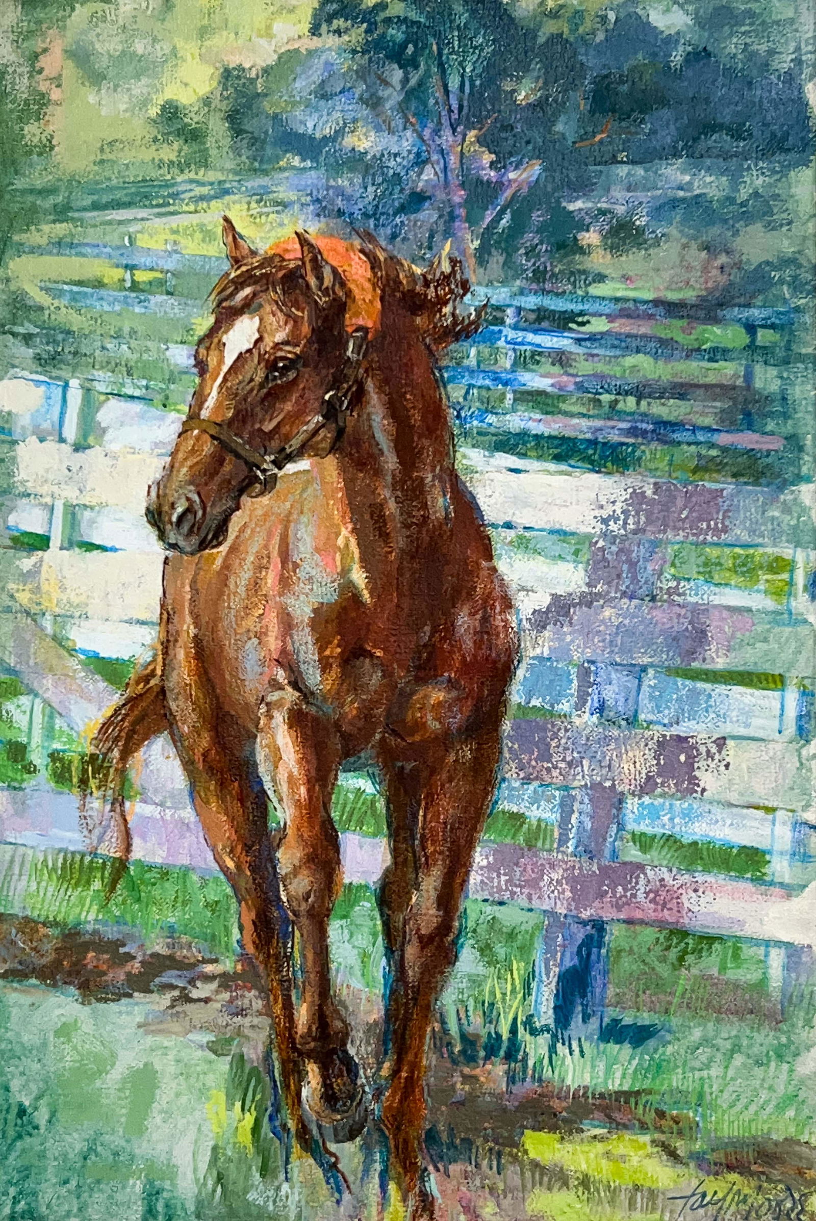 Fay Moore - Affirmed (1 of 5)