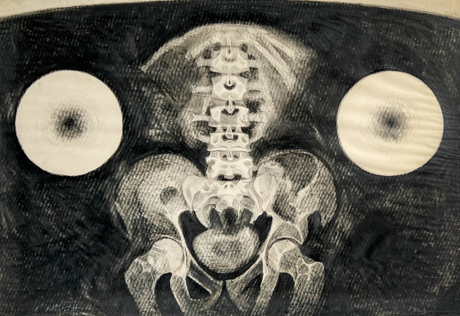 Lowell Nesbitt - Hip Bone and Spine: Lot 79 Lowell Nesbitt American (1933-1993) Hip Bone and Spine (1963) charcoal and graphite on paper signed lower left sight: 20 1/8 x 29 inches frame dimensions: 20 1/2 x 29 1/2 x 1 inches,acrylic met