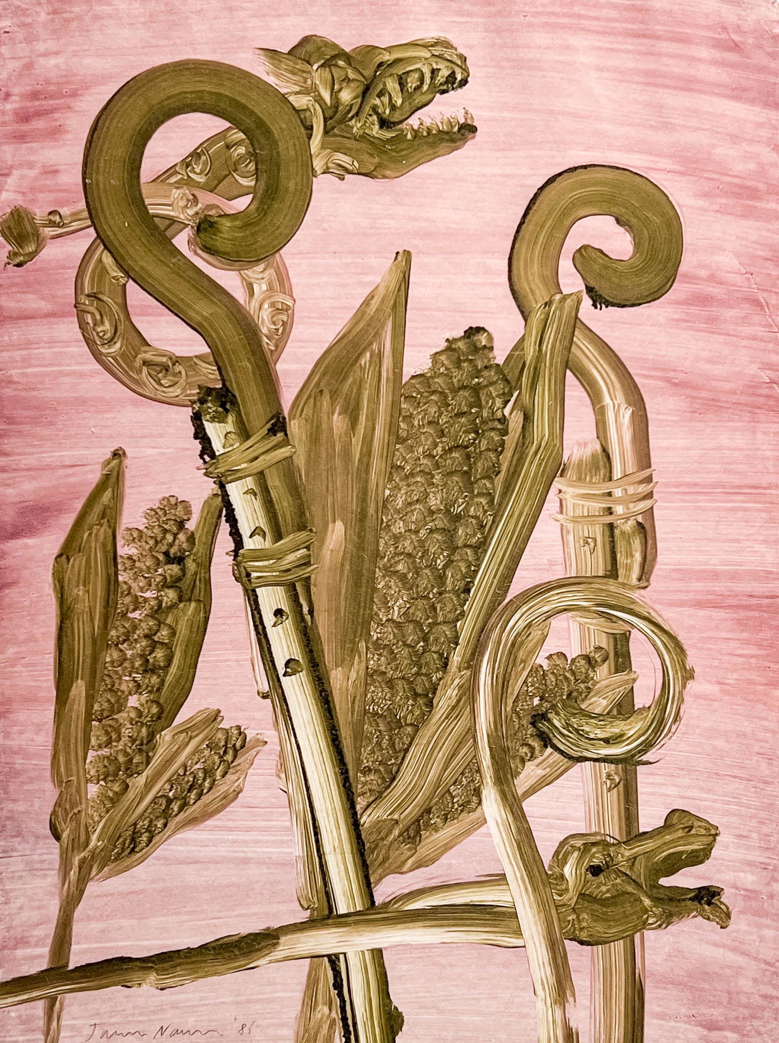 James Nares - Pizarro's Gold (1 of 5)