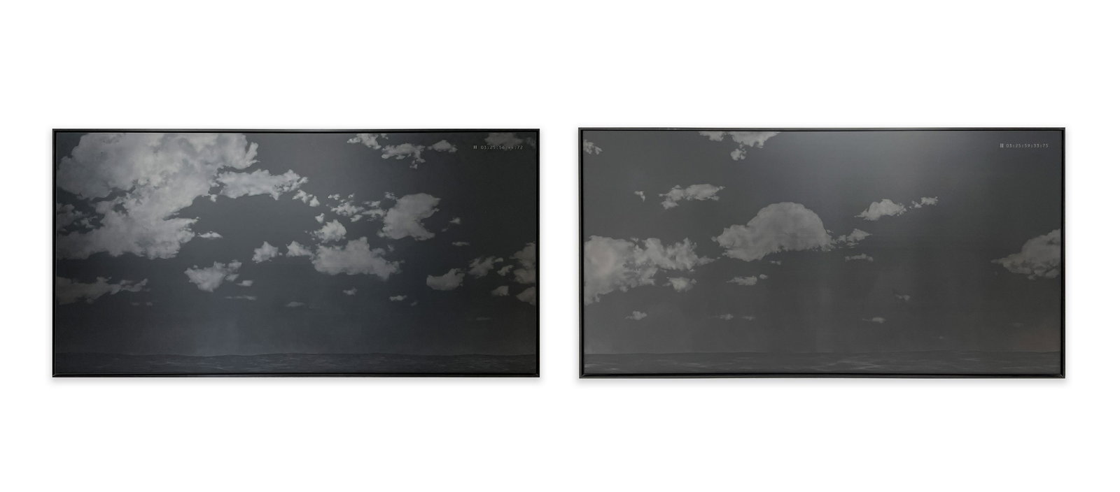 Marcelo Moscheta - Still (1 of 12)