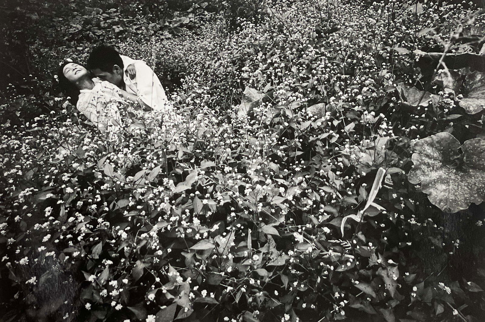 Eikoh Hosoe - Kamaitachi #23 (1 of 6)