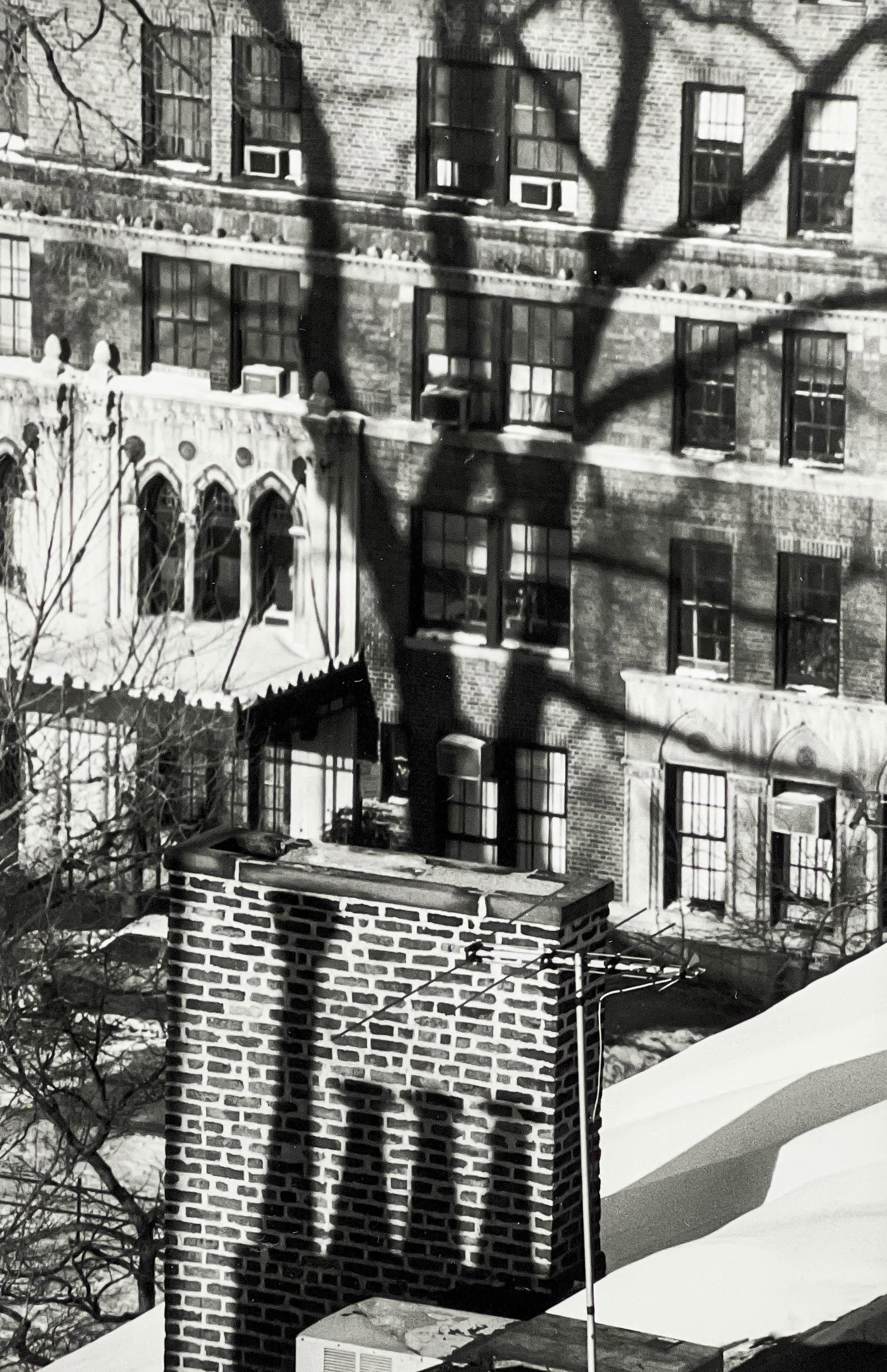 André Kertész - February 2, 1978 (1 of 4)