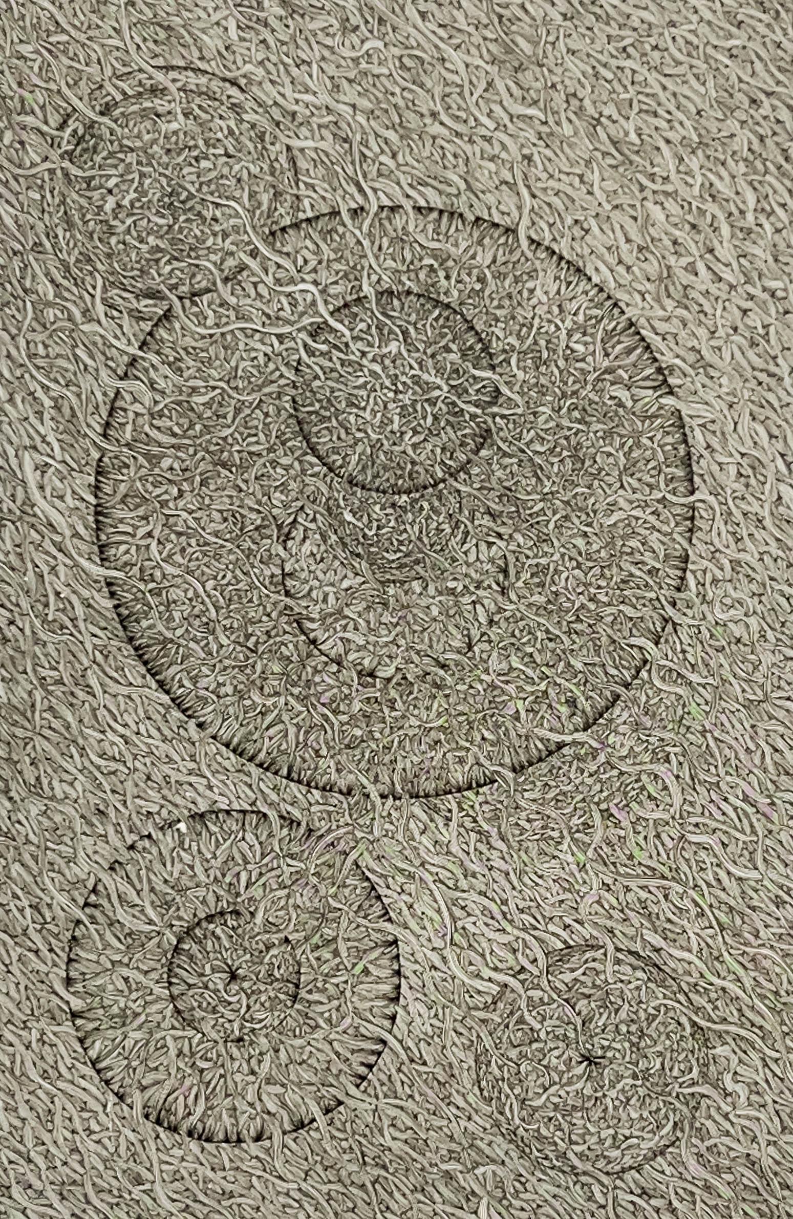 Yasuyuki Kihara - Répandu Écale (1 of 5)