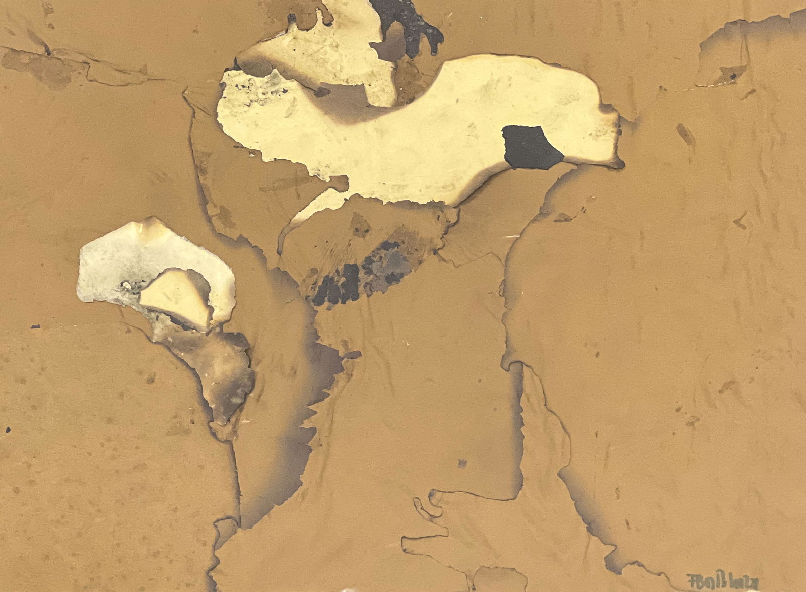 Ferruccio Bortoluzzi - Burnt Paper (1 of 7)