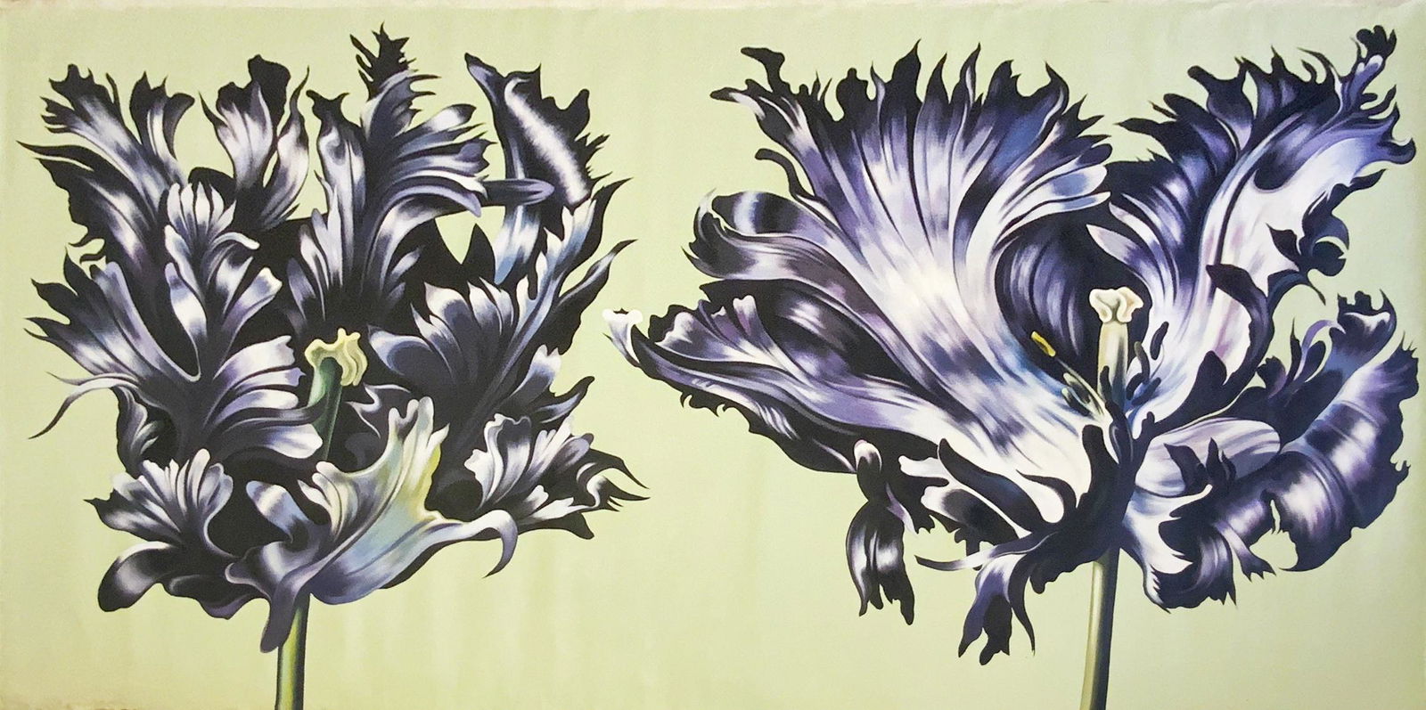 Lowell Nesbitt - Two Black Parrot Tulips (1 of 10)