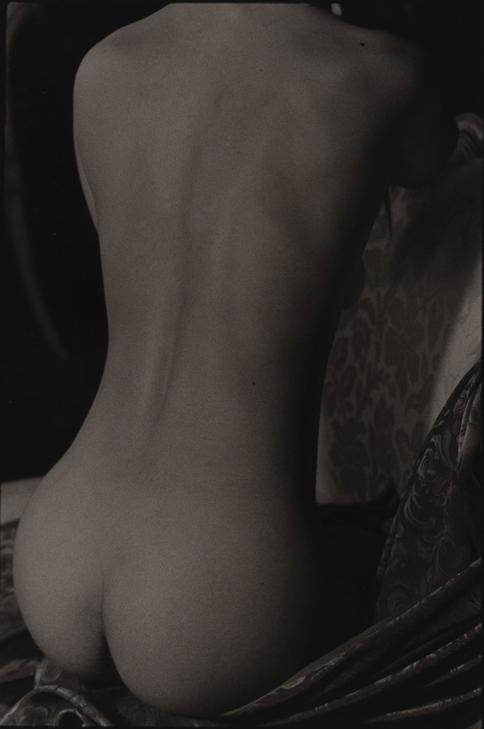 Marie-Claire Montanari  - Violin Shape Female Back (1 of 7)