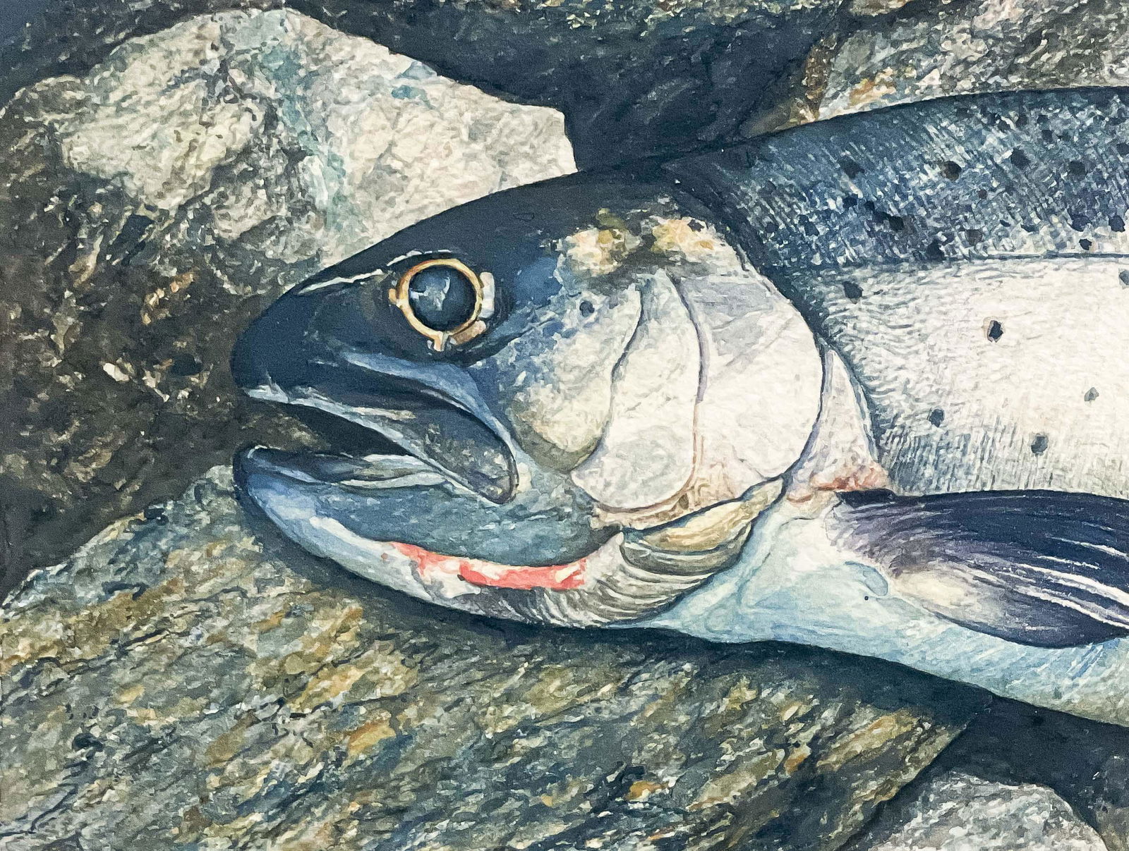 William George Allan - Untitled (Fish) (1 of 4)