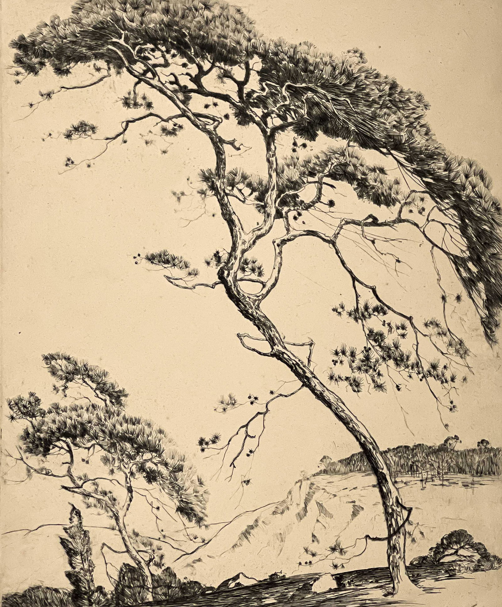 Alfred Heber Hutty - Sentinel Pines (1 of 7)