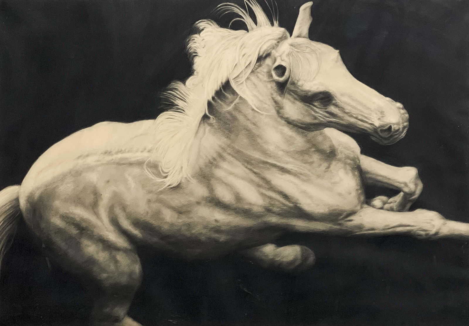 Joseph Piccillo - Study - February (1 of 8)