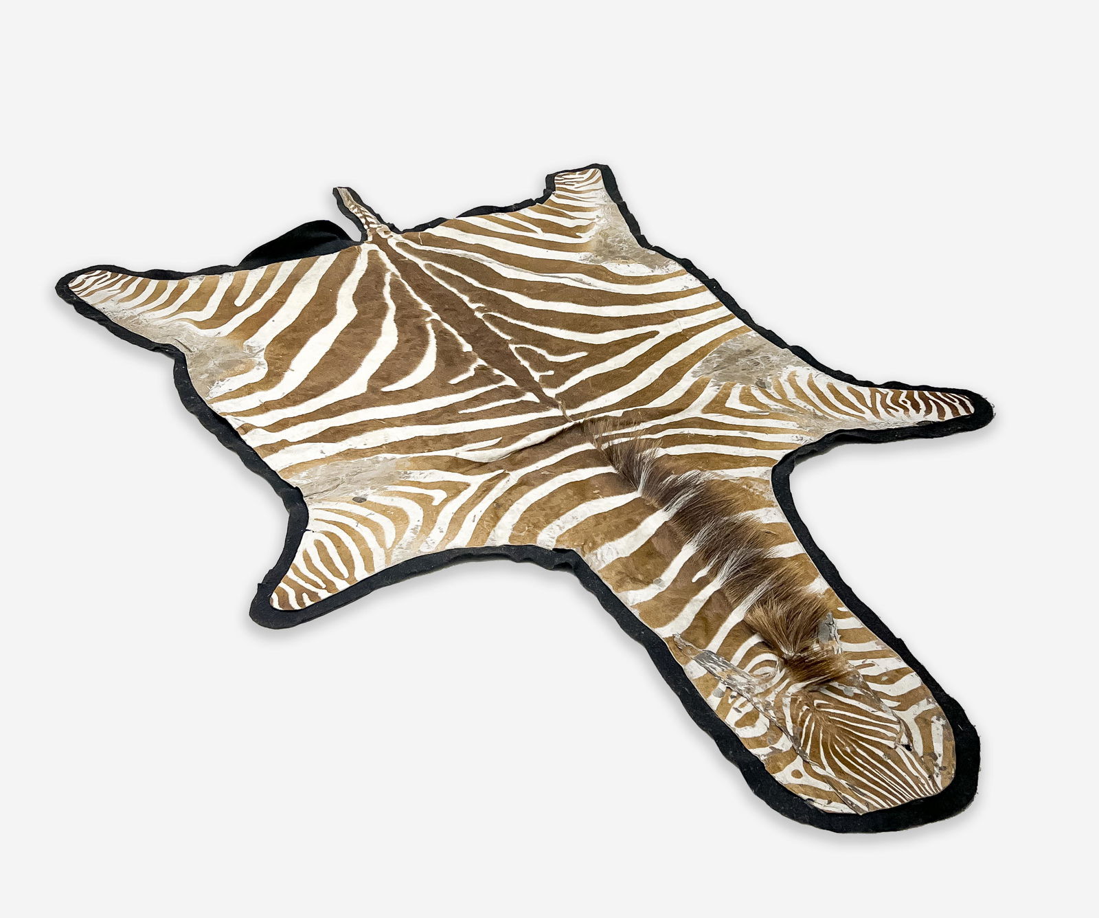 Zebra Hide Rug (1 of 4)