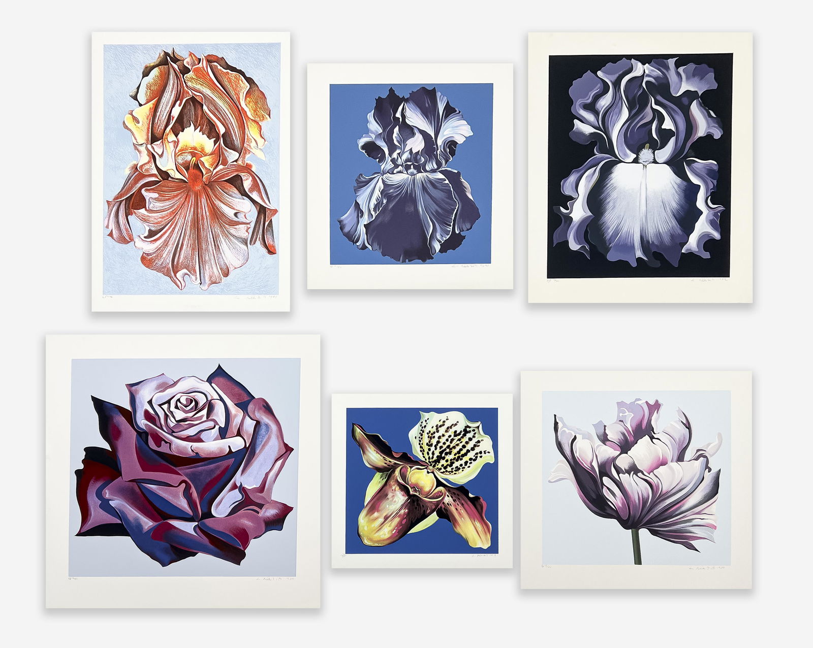 Lowell Nesbitt - 6 Floral Prints (1 of 9)
