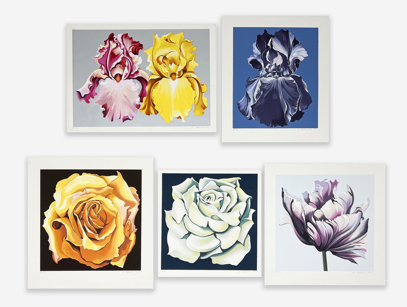 Lowell Nesbitt - 5 Works on Paper (1 of 8)