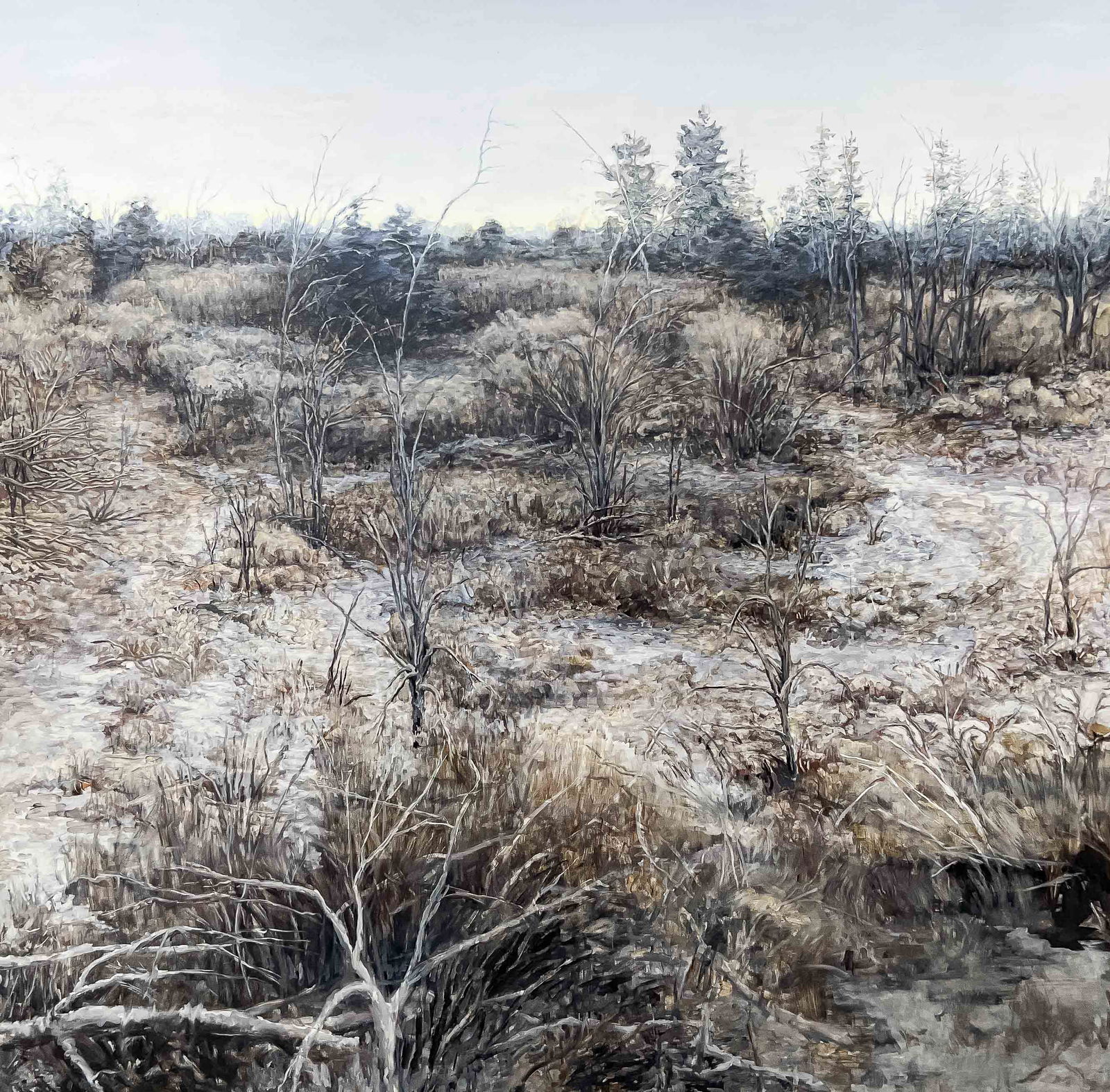 Doug Martin - X O (Hoarfrost) (1 of 6)