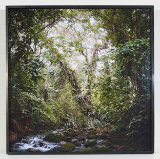 Mona Kuhn - Virgin Forest (from the Native series): Lot 14 Mona Kuhn German/Brazilian (b. 1969) Virgin Forest (from the Native series) (2009) chromogenic print signed verso, numbered 3/8 30 x 30 inches frame dimensions: 30 1/2 x 30 1/2 x 2 inches,