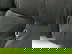 item-161122699=5