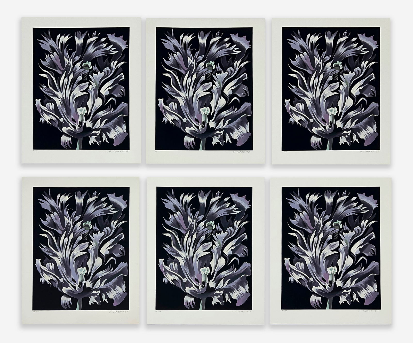 Lowell Nesbitt - Parrot Tulip on Black, Set of 6 (1 of 5)