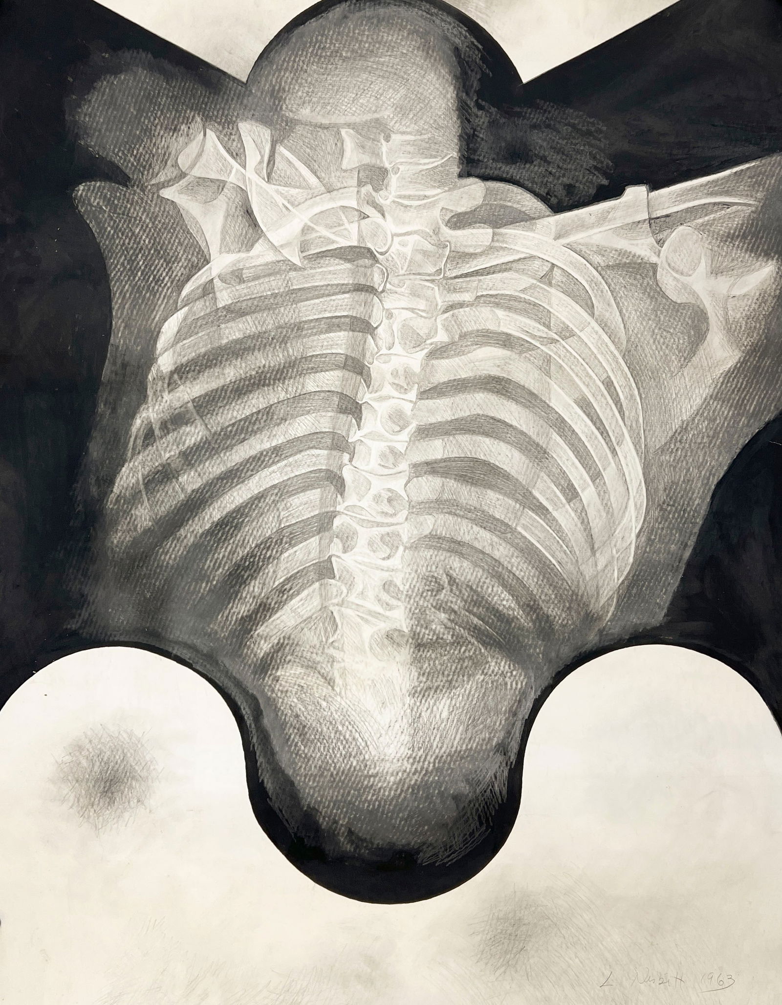 Lowell Nesbitt - Untitled (Ribcage) (1 of 4)