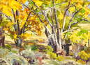 Francis Donald - Untitled (Autumn Trees)