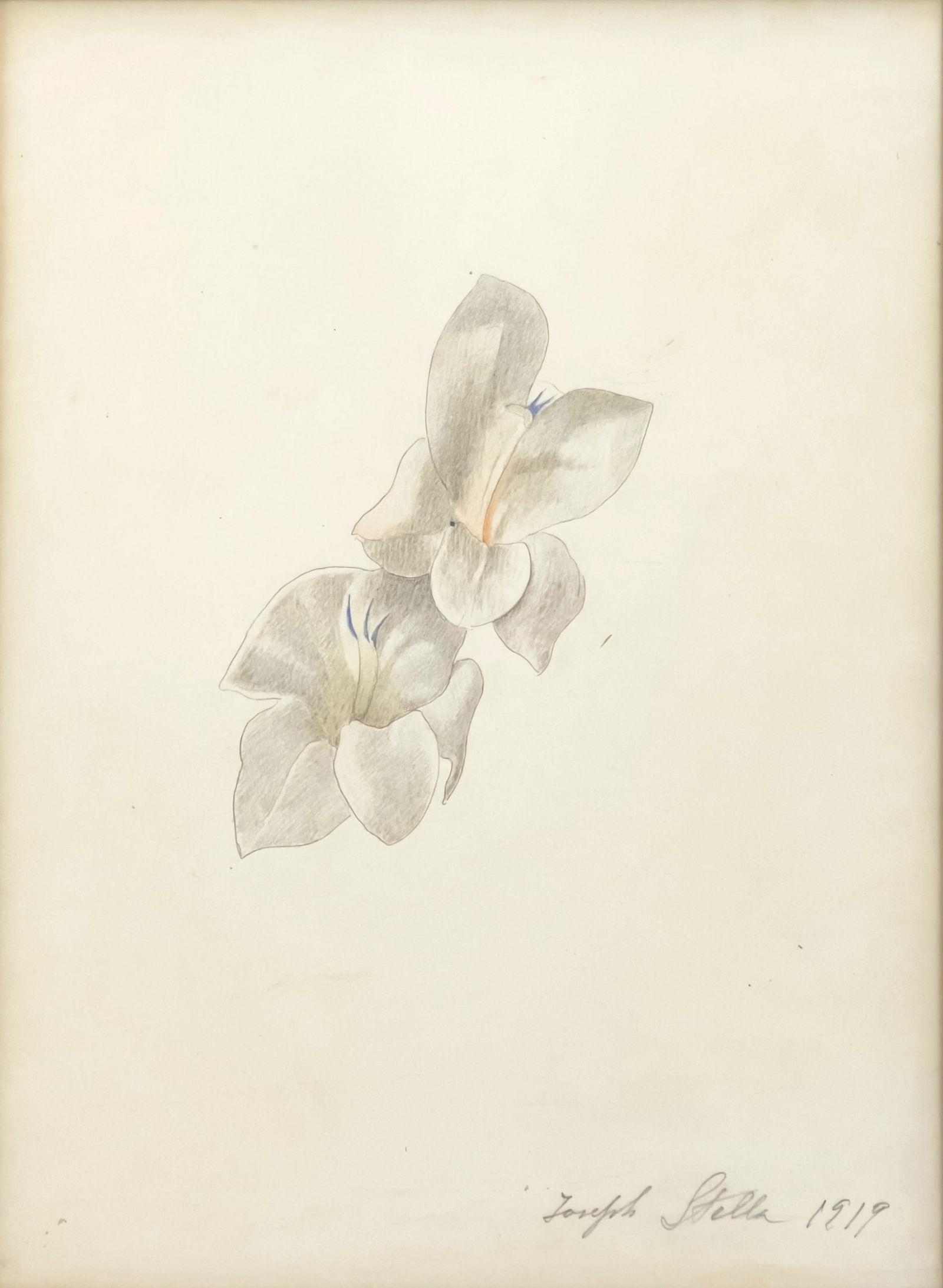 Joseph Stella - Flowers (1 of 4)