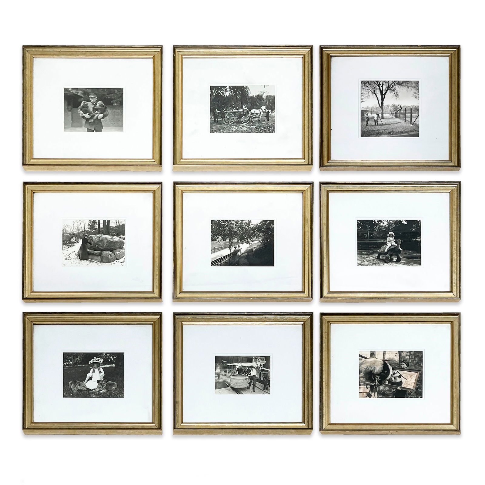 Unknown Artist - Central Park Zoo (Group of 9 photographs) (1 of 2)