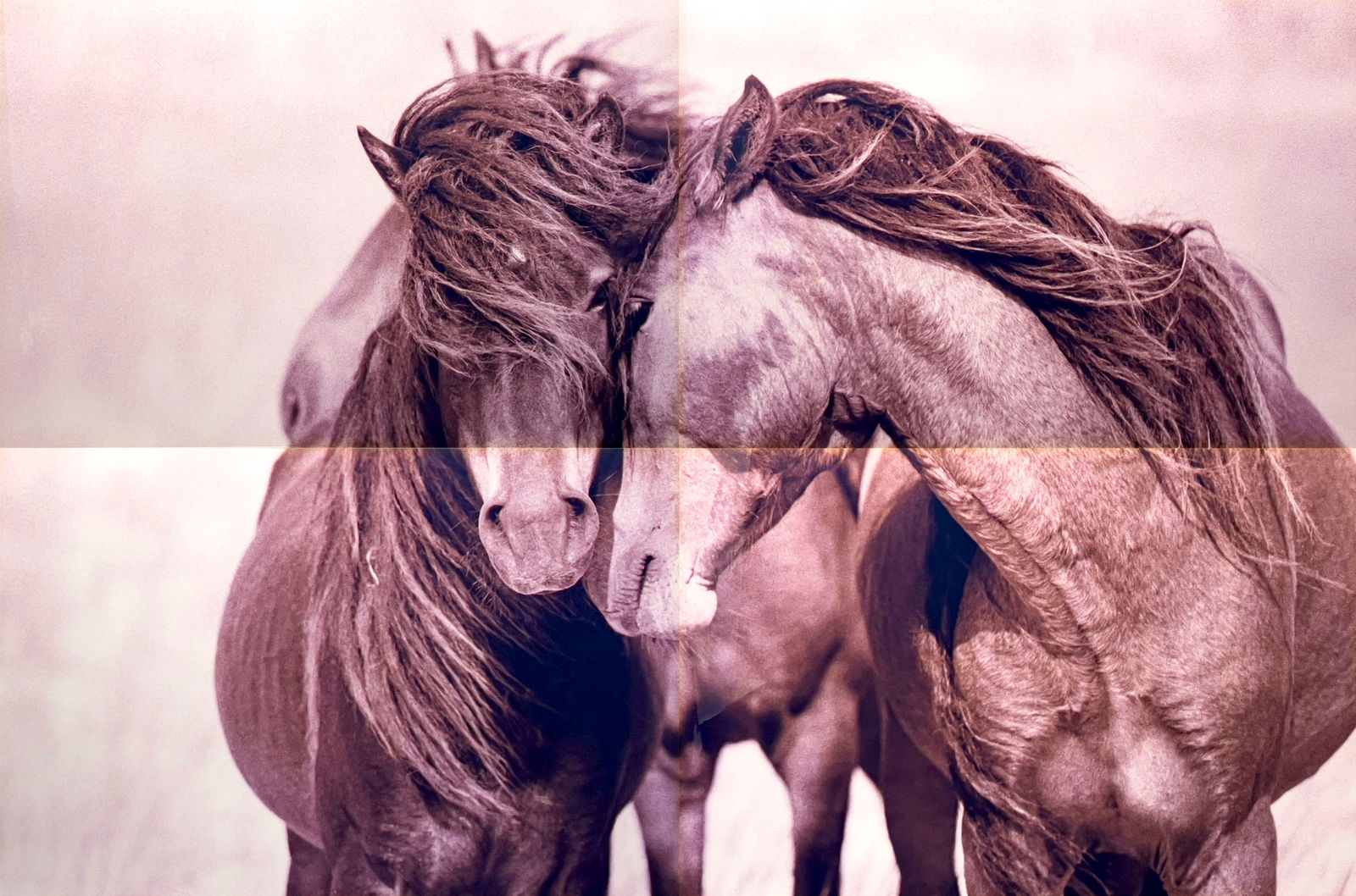 Roberto Dutesco - Love: Lot 35 Roberto Dutesco Romanian (b. 1961) Love sepia toned metallic chromogenic print signed verso, A/P overall: 64 x 96 inches each: 32 x 48 inches in four panels with face mounted on Plexi, with alu