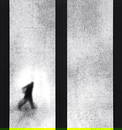 Michal Rovner - Untitled