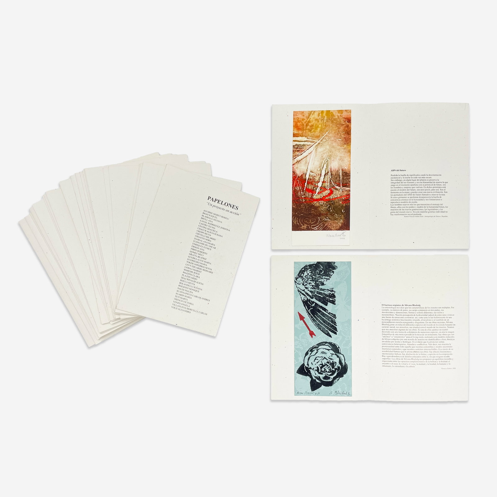 Rosa Faccaro - Papelones (Un Proyecto en Accion): Lot 173 Rosa Faccaro Argentinian (1931-2019) Papelones (Un Proyecto en Accion) (2006) prints comprised of 38 prints, each by a different artist, including Ana Brüli, Jesus Marcos, Eduardo Pla, Al