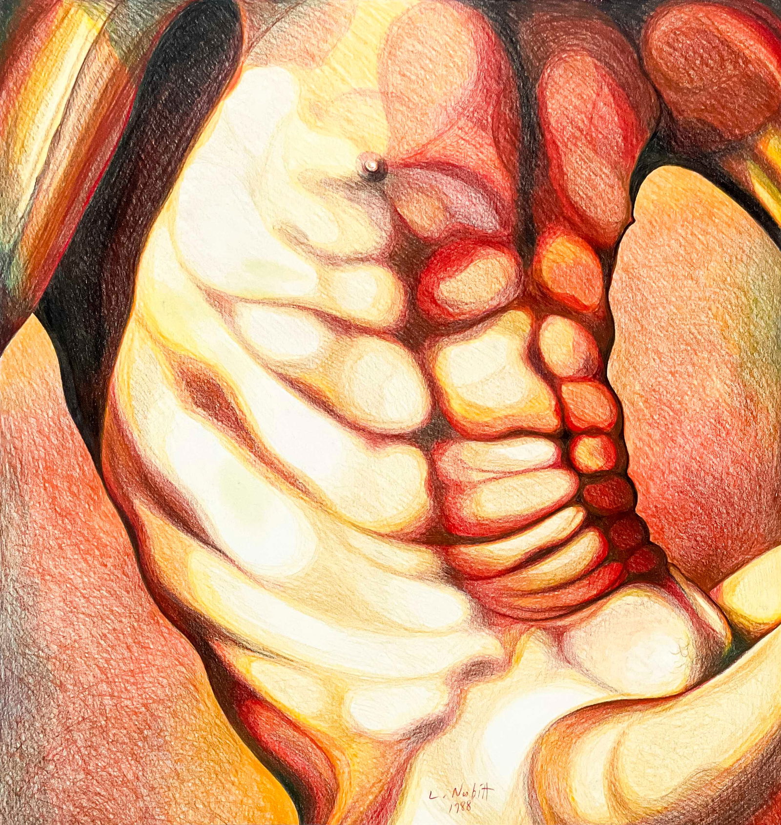 Lowell Nesbitt - Untitled (Male Torso) (1 of 4)