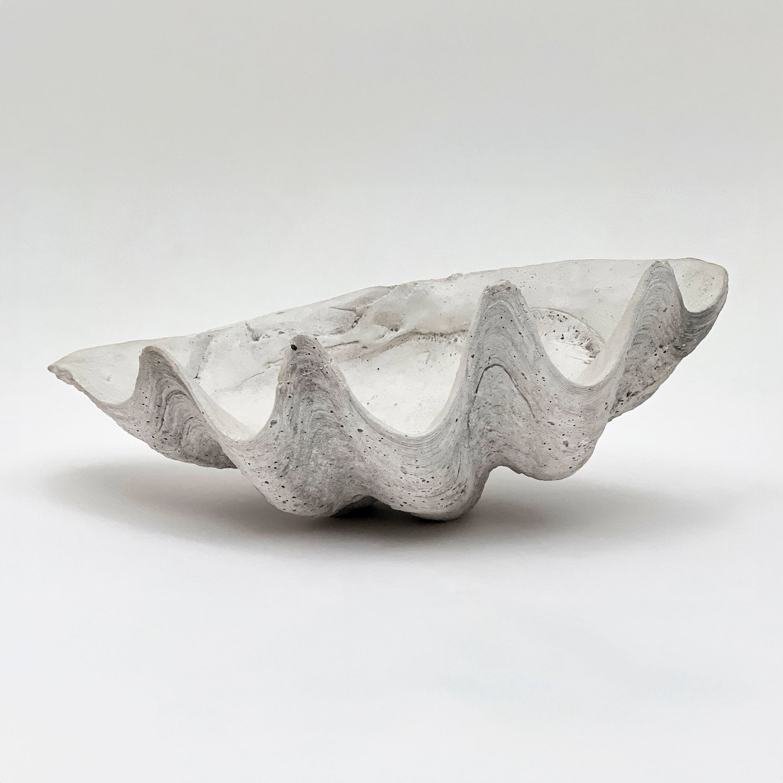 Large Plaster Clam Shell (1 of 5)