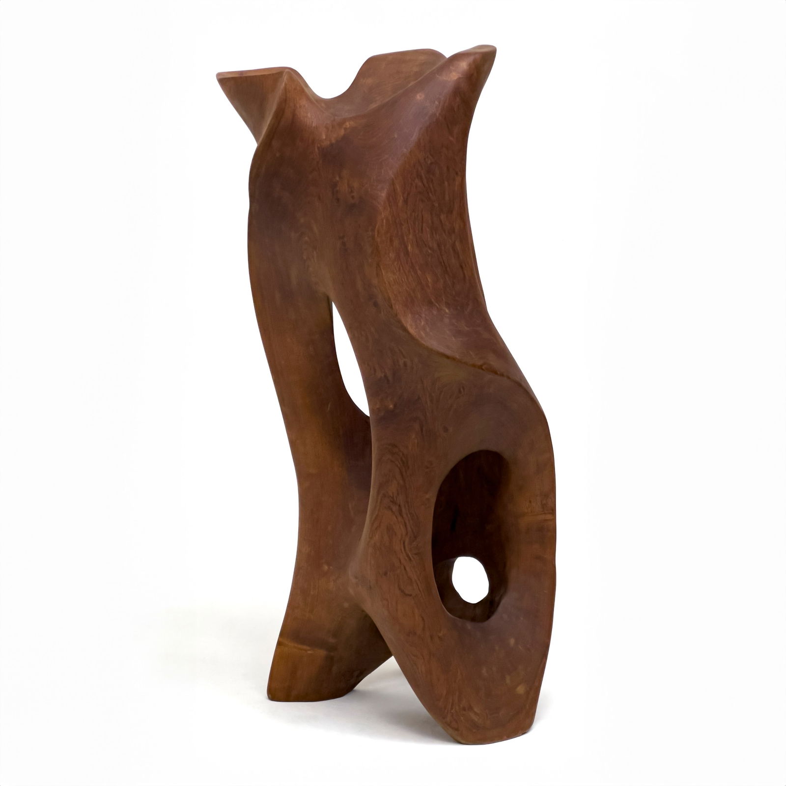 Unknown Artist - Organic Form Wood Sculpture (1 of 10)