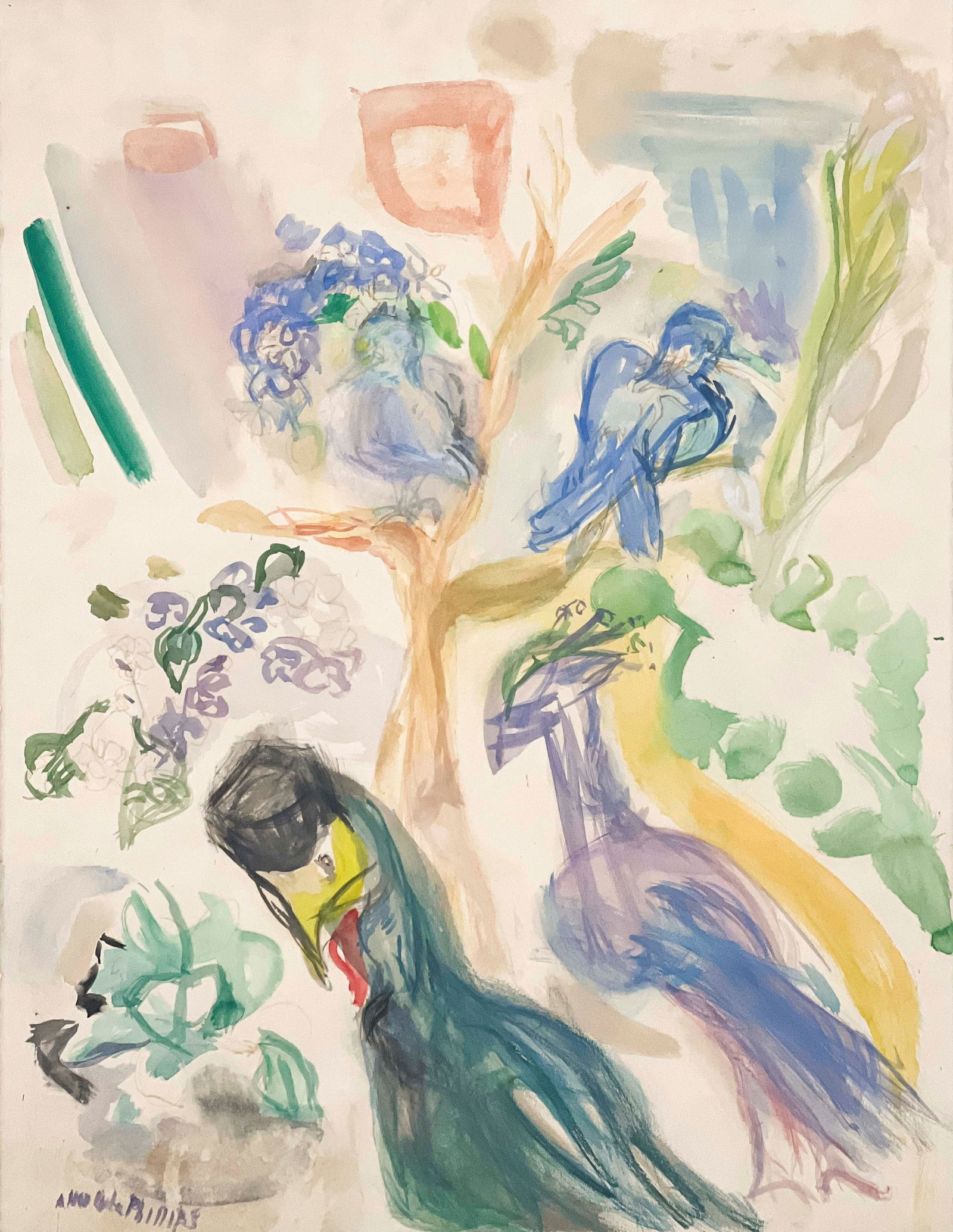 Ann Cole Phillips - Strange Birds of Kenya (1 of 5)