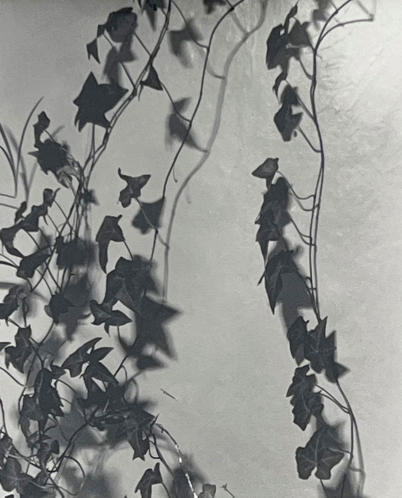 James Welling - Night (1 of 4)