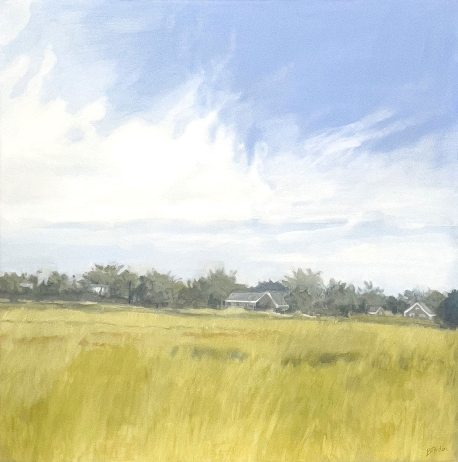 Priscilla Bowden - Bridge Hampton field (1 of 4)