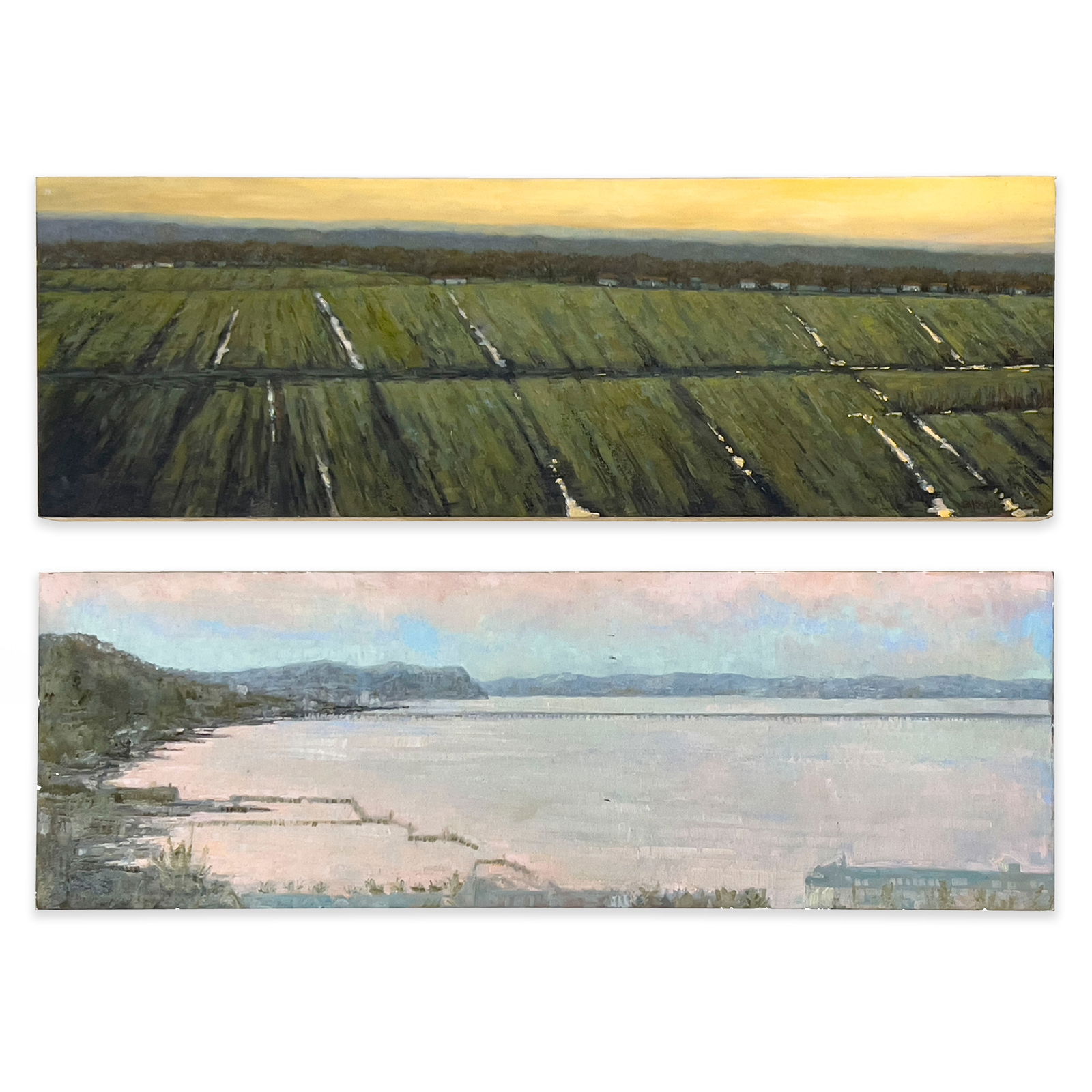 Sue Barrasi - Ancient Muck / Her Last Days, 2 Works (1 of 4)