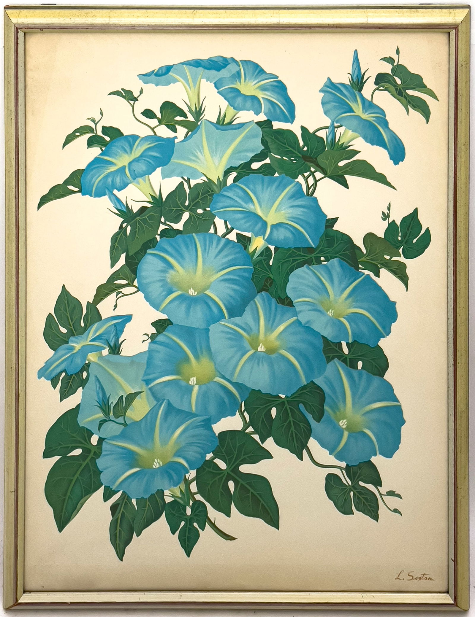 LLoyd Sexton, Jr. - Morning Glory (1 of 1)