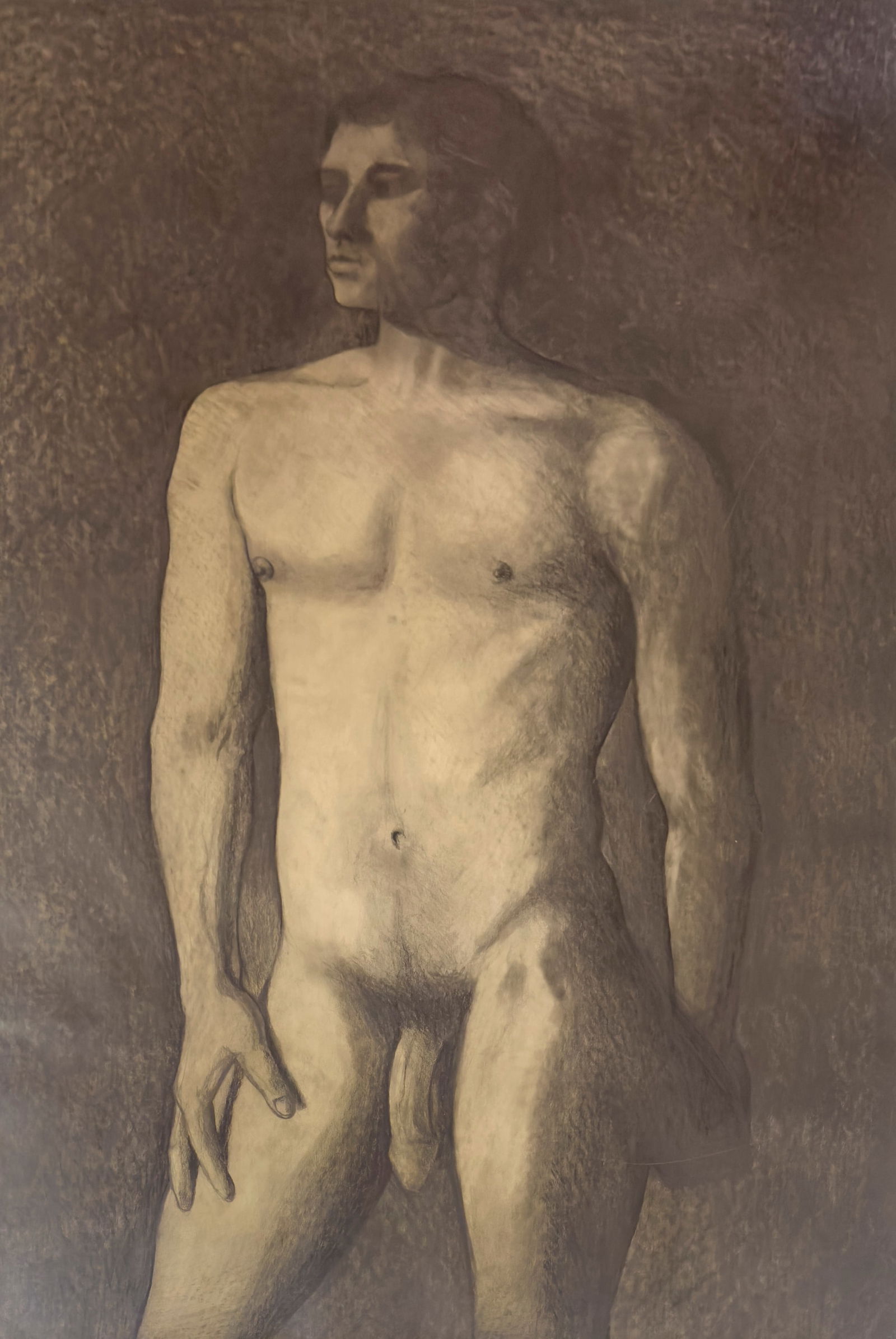 Lowell Nesbitt - Male Nude: Lot 238 Lowell Nesbitt American (1933-1993) Male Nude graphite on paper 37 1/2 x 23 1/4 inches unframed Provenance: From the Estate of Lowell Nesbitt