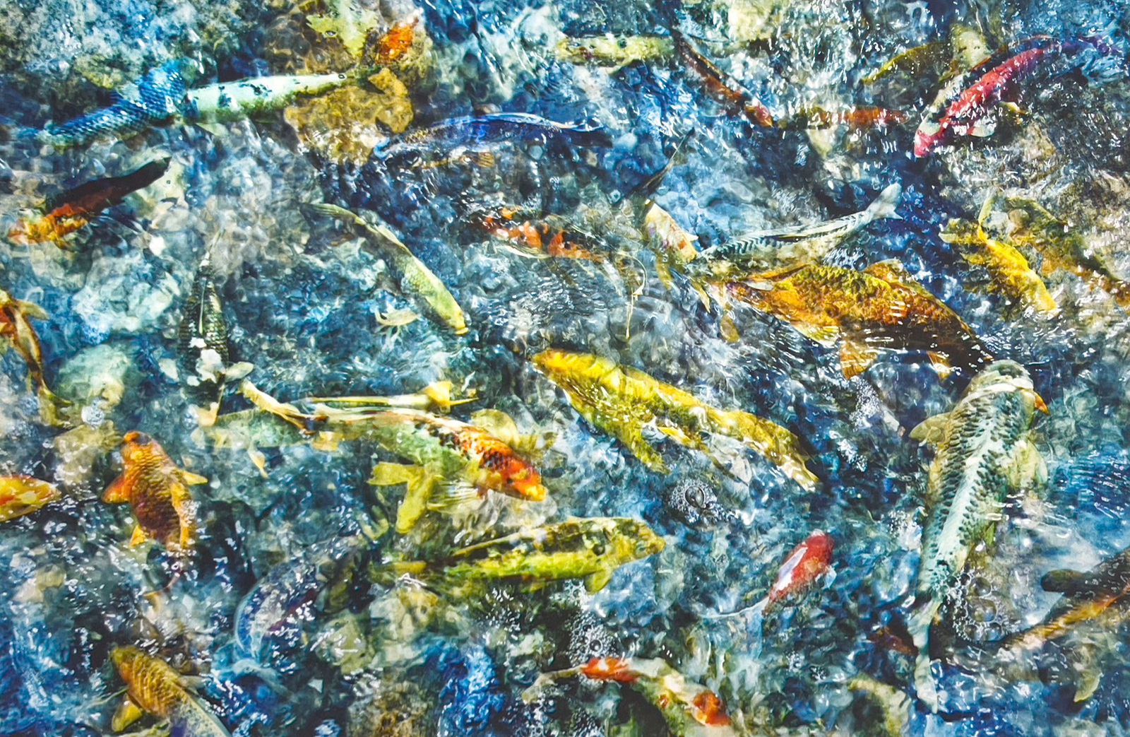 Robert Moore - Water Tapestry #2 (1 of 4)